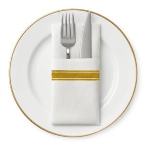 Disposable Striped Trim Dinner Napkin - Multi Colors Available (50ct)