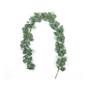 Short Leaf Eucalyptus, 1.8m, 140g