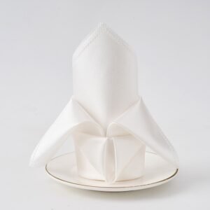 Thick Polyester Satin Dinner Napkin, 6.8 oz/yd² (230 g/m²), Washable - Set of 4