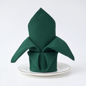 Plain Weave Polyester Dinner Napkin, 5.3 oz/yd² (180 g/m²), Washable - Set of 4