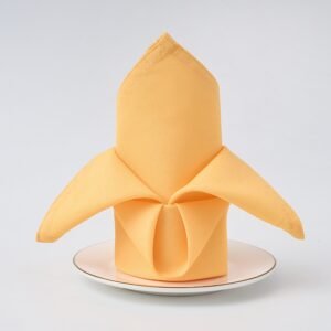 Plain Weave Polyester Dinner Napkin, 5.3 oz/yd² (180 g/m²), Washable - Set of 4