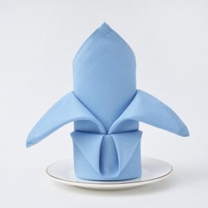 Plain Weave Polyester Dinner Napkin, 5.3 oz/yd² (180 g/m²), Washable - Set of 4