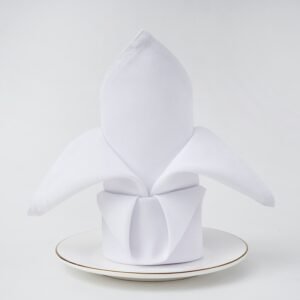 Plain Weave Polyester Dinner Napkin, 5.3 oz/yd² (180 g/m²), Washable - Set of 4