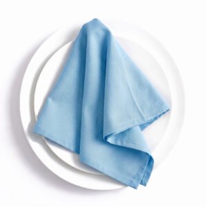 Plain Weave Polyester Dinner Napkin, 5.3 oz/yd² (180 g/m²), Washable - Set of 4